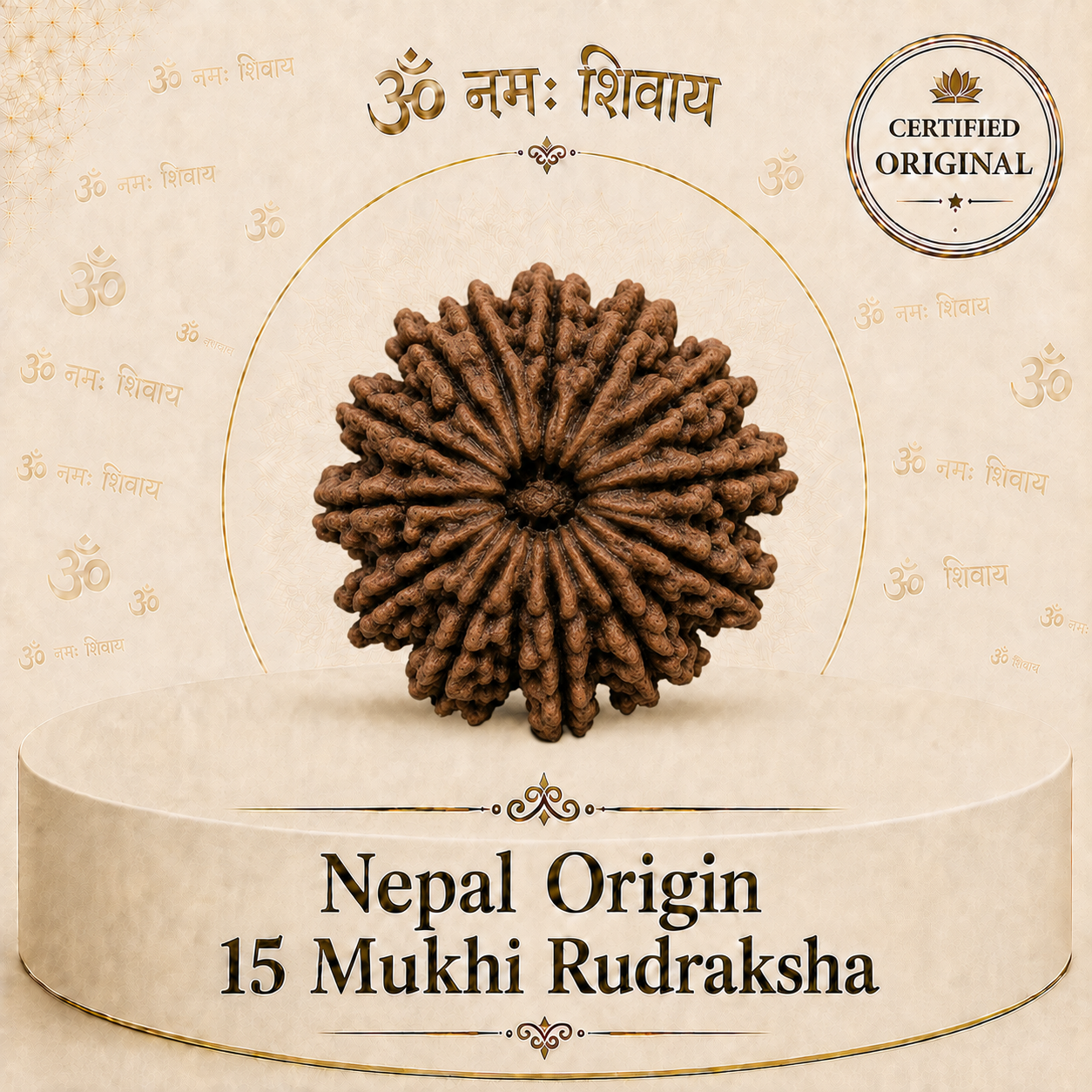 15 Mukhi Rudraksha (Nepal Origin)